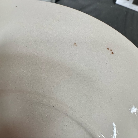 Homer Laughlin Georgian Eggshell dinner plates in the "Heather Rose" pattern 9” - Picture 6 of 7